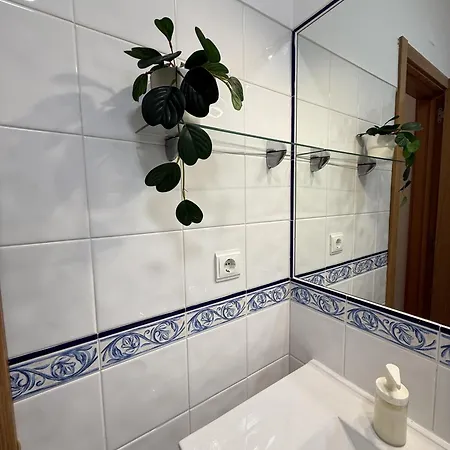 Dream كاسكايس